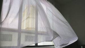 The Maids Seattle - Wind Proof Your Home